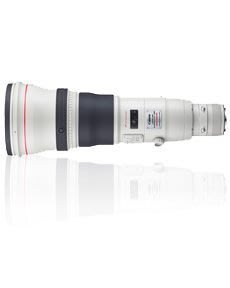 【日產旗艦】Canon EF 800mm F5.6 L IS USM 公司貨 可議價 先詢問貨源