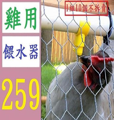 【三峽好吉市】雞飲水器 雞用乳頭飲水器 鋼球自動飲水器 球閥式黃色半圓25mm 雞用餵水器 1組10個