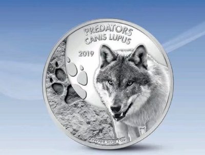【海寧潮現貨】剛果2023年掠食者的腳印野狼1盎司紀念銀幣