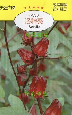 【野菜部屋~】Y05 洛神葵(洛神花)Roselle~天星牌原包裝種子~每包17元~