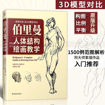 伯里曼人體結構繪畫教學 喬治·伯里曼 1500例人體解剖素描 入門自學零基礎 人體素描基礎 藝考人物速寫線描 素描技法繪畫教學解剖