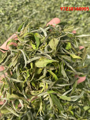 白牡丹茶大洋山茶業福鼎白茶【花語】一級花香白牡丹800米高海拔茶園