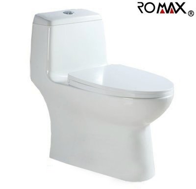 《台灣尚青生活館》美國品牌 ROMAX R8016 水龍捲 單體馬桶 兩段式沖水 同TOTO雙龍捲