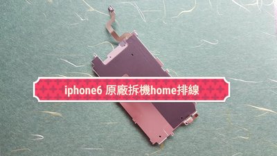 ☘綠盒子手機零件☘ iphone6 i6  原廠拆機新品 home功能排線 保固三個月