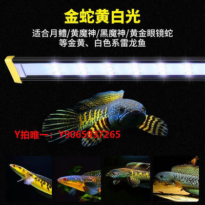 魚缸燈雷龍魚專用魚缸燈led防水照明燈眼鏡蛇巴卡七彩增艷藍黃紅誘色燈