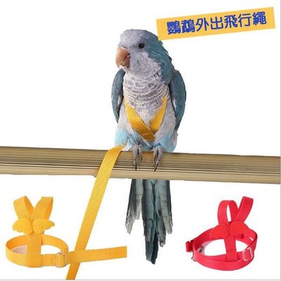 鸚鵡飛行繩/中小型鸚鵡適用的放飛繩 (穿於鳥寶身上,即可帶鳥寶外出遊玩囉)/鸚鵡外出繩(顏色隨機出貨)