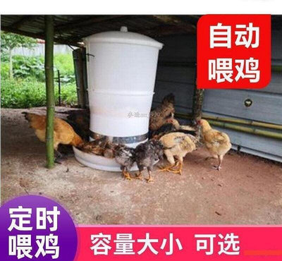 廠家出貨定時投料機餵雞器雞鴨鵝全自動養雞自動餵食器智能養殖設備飼料桶