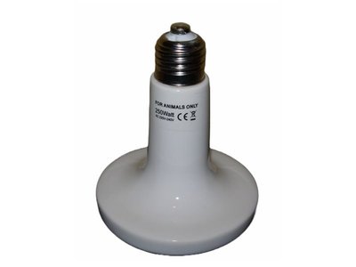遠紅外線陶瓷加熱器 250W 220V E27燈頭 不發光 歐洲CE安全認證  遇水不破裂 保溫燈泡 保暖燈泡