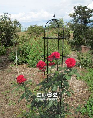 熱賣 6折清倉-玫瑰花架包塑鐵管庭院月季鐵線蓮花架室內尖頂架