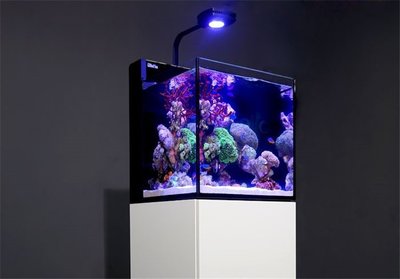 【魚店亂亂賣】以色列Red Sea紅海Max Nano海水超白玻璃背部過LED套缸組(白色)提問享折扣碼