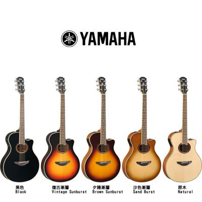 小叮噹的店- 【免運附發票】山葉YAMAHA APX系.40吋 單板電木吉他 APX700II.公司貨 APX700II