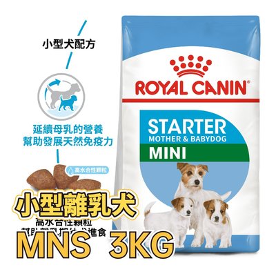✪第一便宜✪ 皇家 MNS 小型離乳犬 3KG / 3公斤 PRBA30 / PRBA28 懷孕母犬 幼犬