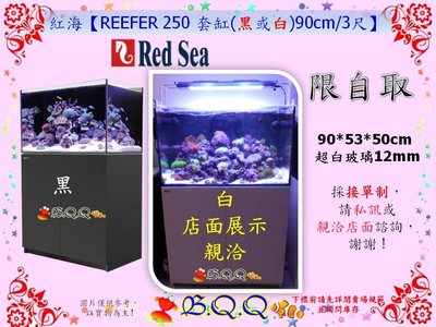 [B.Q.Q小舖]以色列Red Sea-紅海【REEFER 250 套缸(白)90cm/3尺】海水缸/超白缸(如右圖)