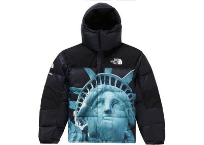 parka supreme the north face