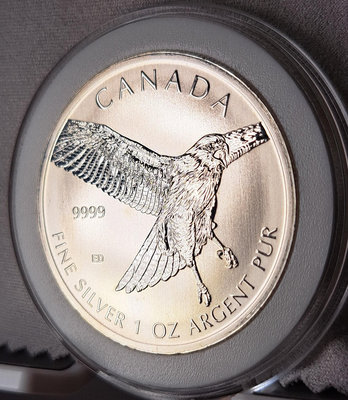 2015年加拿大雄鷹銀幣，直徑37mm，9999純銀1盎司（【店主收藏】23136