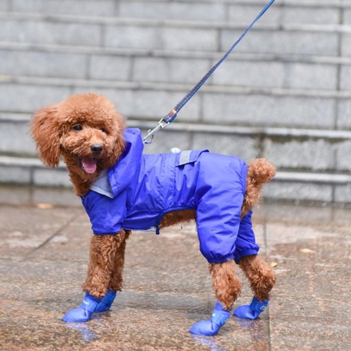 【珍愛頌】LJ001 寵物雨鞋 寵物防滑雨鞋 寵物防滑鞋 防滑鞋 防水鞋 硅膠鞋 狗狗雨鞋 狗鞋子 小狗鞋 寵物鞋 犬鞋