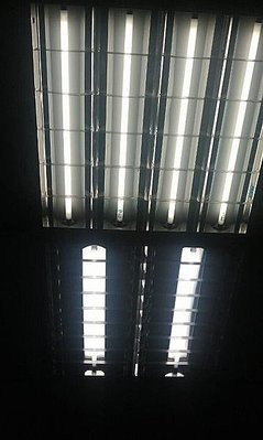 ~小陳的家~T5-14W/輕鋼架燈管可用/T8-20W層板燈專用/勁光節能增光板/罩(兩款同價)。MIT/台灣製