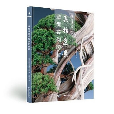 正版 生活 休閒書籍綠手指園藝·真柏盆景造型實例圖解