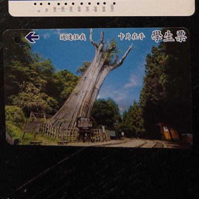 S0044 阿里山-神木 學生票 公車卡 公車票 公車票卡 卡片在手 通達任我 交通卡 收集卡 收藏卡
