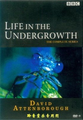 音樂居士新店#BBC Life in the Undergrowth 矮樹從里的無脊椎世界 2D9 DVD