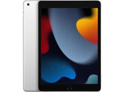 Apple iPad 10.2 Wi-Fi 256GB 2021 第九代※10.2吋/800萬畫素~淡水 淡大手機館