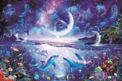 缺 日本正版拼圖 Lassen 海洋 海豚 月光 12星座 星象 1000片夜光拼圖，13-026