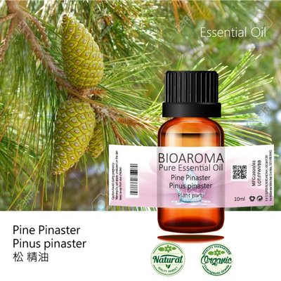 【純露工坊】松精油Pine Pinaster - Pinus pinaster  100ml