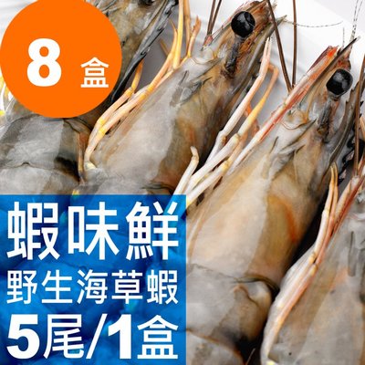 8盒/蝦味鮮 野生無毒海草蝦 400克重(內有5尾/1盒)