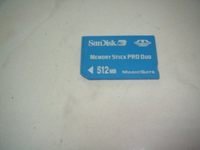(大樹的家): Sony 相機用的短卡記憶卡SanDisk Memory Stick PRO Due 512MB(裸裝)