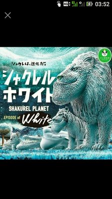 戽斗 鯨魚 白子 動物