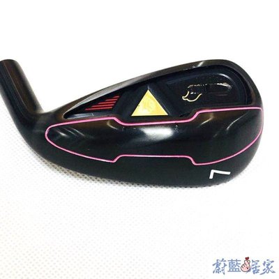 【熱賣精選】廠家直銷定製高爾夫高反彈中空球頭Iron不銹鋼電鍍銘版56789PG