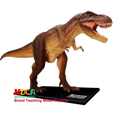 4D MASTER 益智拼裝玩具動物恐龍大霸王龍器官解剖醫學用教學模型