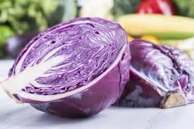 紫高麗菜含豐富青花素種子(約100顆)