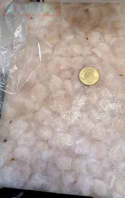 阿根廷魷魚嘴(龍珠)1.2Kg裝-1箱10包免運費~