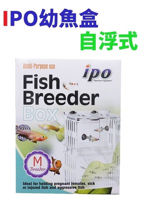 【北高雄】IPO幼魚盒（自浮式）M 隔離箱 隔離盒 產卵盒 產卵箱 飼育箱