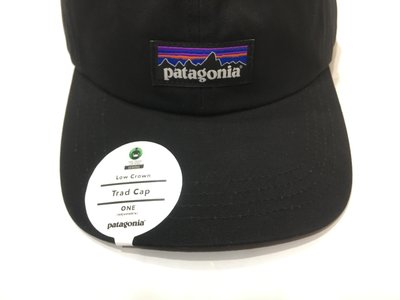 Patagonia 全新經典棒球帽