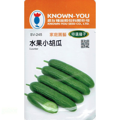 種子王國 水果小胡瓜 Cucumber (SV-245) 【蔬菜種子】農友種苗特選種子 每包約20粒 可生食