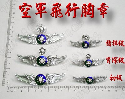 《甲補庫》初級(小)*中華民國空軍飛官金屬徽章/空軍飛鷹胸章/飛行教官/機師