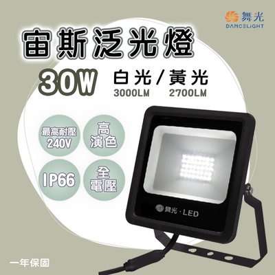 舞光 LED 宙斯投光燈 30W 防水IP66 白光 黃光 全電壓 光彩照明 OD-FLZ30