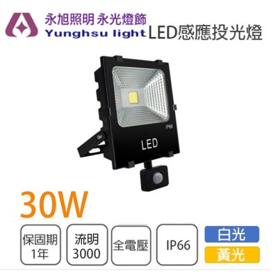 光鈦 感應式 LED 30W 投光燈 探照燈 投射燈 全電壓 白光/黃光 EW3-LED-30W%EU-1