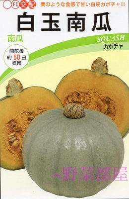 【野菜部屋~】K60 日本白玉南瓜種子2粒 , 果香味濃 , 品質佳 , 每包15元~