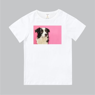 T365 MIT 親子 童裝 情侶 T恤 T-shirt 短T 狗 DOG 邊境牧羊犬 Border collie 毛孩