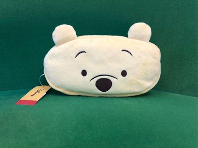迪士尼 Disney Pooh 小熊維尼 絨毛筆袋 筆盒 正版授權商品 現貨