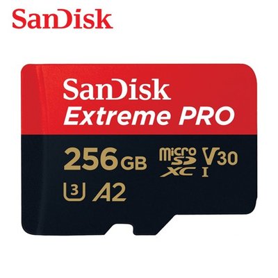 SANDISK 256GB Extreme PRO A2 U3 UHS-I 200MB (SD-SQXCD-256G)