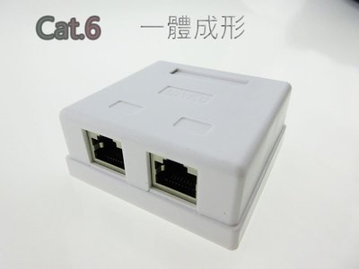 Cat.6 電腦網路資訊盒 接線盒 一體成型 網路線接頭 資訊盒 雙埠