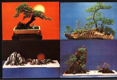 大陸明信片---上海龍華盆景---共 12 張--動植物部分