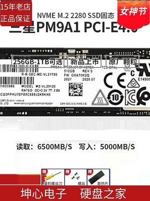 三星 PM9A1 1TB 2TB M.2 PCIe 4.0 M2 NVME 桌機機筆電固態硬碟