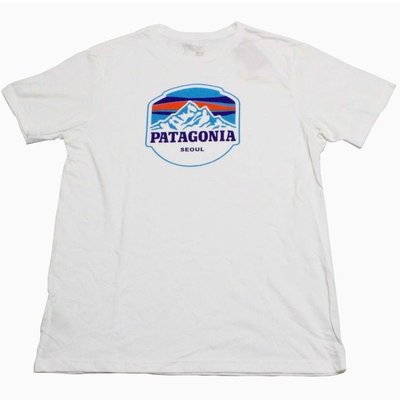 【Japan潮牌館】Patagonia 巴塔哥 復古山紋寬松短袖男式純棉時尚T恤