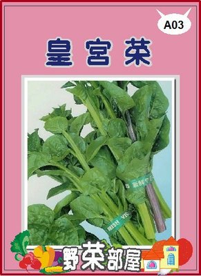 【野菜部屋~大包裝】A03 皇宮菜(小葉品種)種子1斤(約600公克) , 很好種植的蔬菜 , 每包850元~