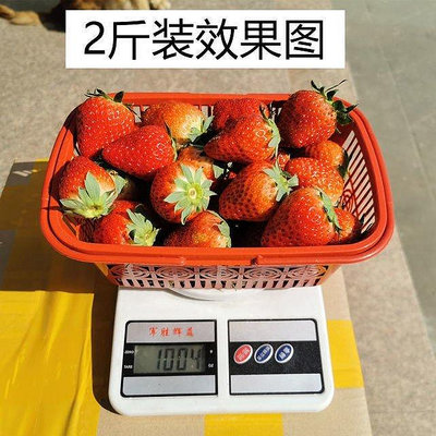 新店促銷 草莓籃楊梅籃櫻桃籃雞蛋籃塑料手提方籃子桑葚膠框1-10斤廠家批發 可開發票